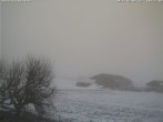 Archiv Foto Webcam Benediktenwand (Bayern) 09:00