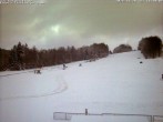 Archiv Foto Webcam Bödefeld-Hunau im Sauerland 15:00