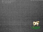 Archiv Foto Webcam Breitnau (Schwarzwald) 23:00