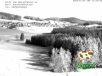 Archiv Foto Webcam Breitnau (Schwarzwald) 11:00