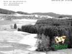 Archiv Foto Webcam Breitnau (Schwarzwald) 11:00