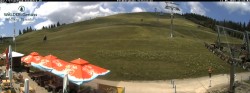 Archiv Foto Webcam Feldberg Seebuck Talstation 11:00