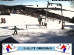 Archiv Foto Webcam Bayerischer Wald: Lift Greising 11:00