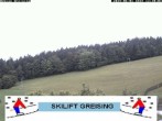Archiv Foto Webcam Bayerischer Wald: Lift Greising 11:00
