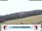 Archiv Foto Webcam Bayerischer Wald: Lift Greising 11:00