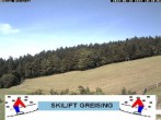 Archiv Foto Webcam Bayerischer Wald: Lift Greising 09:00