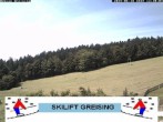 Archiv Foto Webcam Bayerischer Wald: Lift Greising 11:00