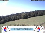 Archiv Foto Webcam Bayerischer Wald: Lift Greising 11:00