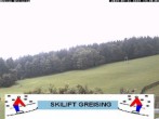Archiv Foto Webcam Bayerischer Wald: Lift Greising 13:00