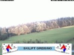 Archiv Foto Webcam Bayerischer Wald: Lift Greising 05:00
