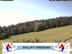 Archiv Foto Webcam Bayerischer Wald: Lift Greising 11:00