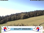 Archiv Foto Webcam Bayerischer Wald: Lift Greising 11:00