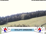 Archiv Foto Webcam Bayerischer Wald: Lift Greising 12:00