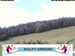 Archiv Foto Webcam Bayerischer Wald: Lift Greising 11:00
