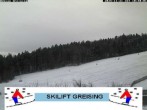 Archiv Foto Webcam Bayerischer Wald: Lift Greising 09:00