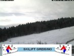 Archiv Foto Webcam Bayerischer Wald: Lift Greising 11:00