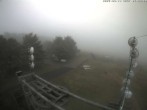 Archiv Foto Webcam Hoherodskopf am Vogelsberg 08:00