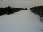 Archiv Foto Webcam Bühlertallift Hundseck Pistenblick 11:00