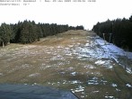 Archiv Foto Webcam Bühlertallift Hundseck Pistenblick 11:00