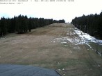 Archiv Foto Webcam Bühlertallift Hundseck Pistenblick 13:00