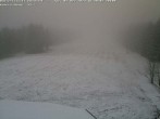 Archiv Foto Webcam Bühlertallift Hundseck Pistenblick 15:00