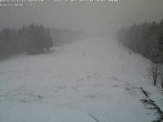 Archived image Webcam Bühlertallift Hundseck View of the Slope 13:00