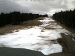 Archived image Webcam Bühlertallift Hundseck View of the Slope 13:00