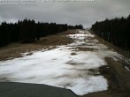 Archiv Foto Webcam Bühlertallift Hundseck Pistenblick 15:00