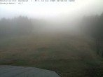 Archived image Webcam Bühlertallift Hundseck View of the Slope 07:00