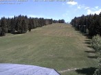 Archived image Webcam Bühlertallift Hundseck View of the Slope 11:00
