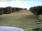 Archiv Foto Webcam Bühlertallift Hundseck Pistenblick 11:00