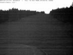 Archiv Foto Webcam Bühlertallift Hundseck Pistenblick 03:00