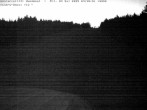 Archiv Foto Webcam Bühlertallift Hundseck Pistenblick 03:00