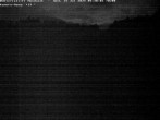 Archiv Foto Webcam Bühlertallift Hundseck Pistenblick 03:00