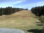 Archiv Foto Webcam Bühlertallift Hundseck Pistenblick 11:00