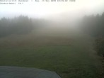 Archiv Foto Webcam Bühlertallift Hundseck Pistenblick 07:00