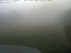 Archiv Foto Webcam Bühlertallift Hundseck Pistenblick 11:00