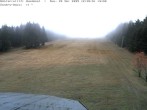 Archived image Webcam Bühlertallift Hundseck View of the Slope 11:00