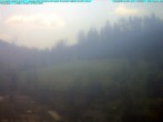Archived image Webcam Ludwigsstadt, north of Rennsteig 11:00