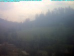 Archived image Webcam Ludwigsstadt, north of Rennsteig 11:00
