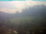 Archived image Webcam Ludwigsstadt, north of Rennsteig 13:00