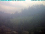 Archiv Foto Webcam Ludwigsstadt nördlich des Rennsteigs 11:00
