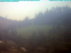 Archived image Webcam Ludwigsstadt, north of Rennsteig 11:00