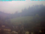 Archiv Foto Webcam Ludwigsstadt nördlich des Rennsteigs 11:00