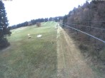 Archiv Foto Webcam Eschenberglifte Niedersfeld Blick auf die Piste 11:00