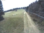 Archiv Foto Webcam Eschenberglifte Niedersfeld Blick auf die Piste 08:00