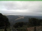 Archiv Foto Webcam Oberweißbach Bergbahn 11:00