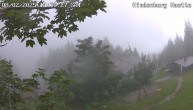 Archiv Foto Webcam Reit im Winkl: Hindenburghütte - Hemmersuppenalm 13:00