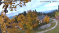 Archiv Foto Webcam Reit im Winkl: Hindenburghütte - Hemmersuppenalm 13:00