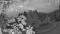 Archiv Foto Webcam Reit im Winkl: Hindenburghütte - Hemmersuppenalm 19:00